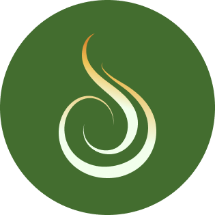 Логотип Сила Волос